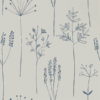 Stipa 112019
